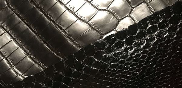 cuir noir python crocodile